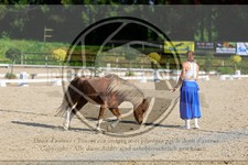 ref. photo 3595996