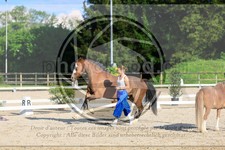 ref. photo 3596014