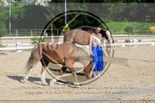 ref. photo 3596017