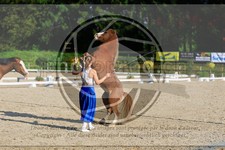 ref. photo 3596021