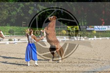 ref. photo 3596023