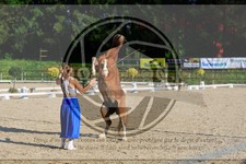 ref. photo 3596024