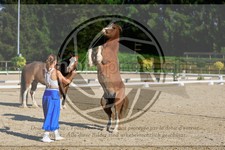 ref. photo 3596026