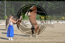 ref. photo 3596027