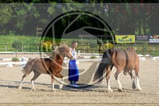 ref. photo 3596031