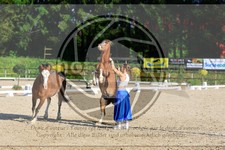 ref. photo 3596035
