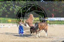 ref. photo 3596036