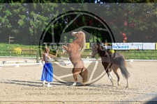ref. photo 3596037