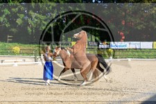 ref. photo 3596038