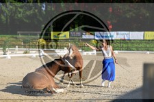 ref. photo 3596040