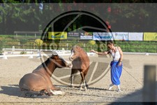 ref. photo 3596041