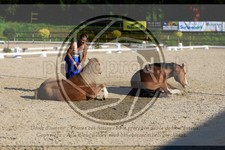 ref. photo 3596042