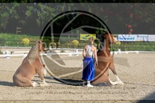 ref. photo 3596051