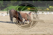 ref. photo 3596052