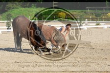ref. photo 3596053