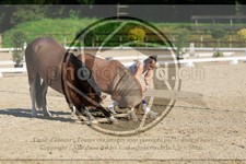 ref. photo 3596054