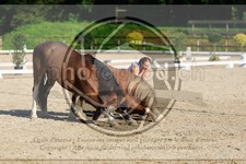 ref. photo 3596056