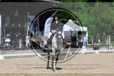 ref. photo 3596308