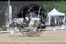 ref. photo 3596309