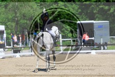 ref. photo 3596312