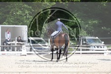 ref. photo 3596376