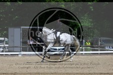 ref. photo 3596427