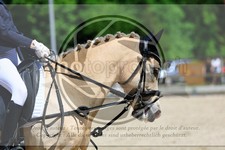 ref. photo 3596443