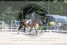 ref. photo 3596477