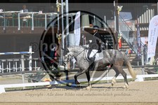ref. photo 3596505