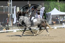 ref. photo 3596516
