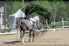 ref. photo 3596521