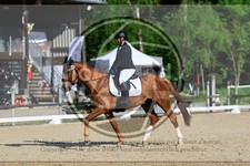 ref. photo 3596576