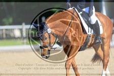 ref. photo 3596584