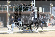 ref. photo 3596793