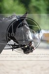 ref. photo 3596941