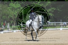 ref. photo 3597022