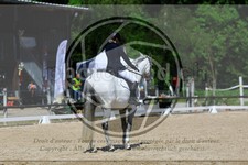 ref. photo 3597023
