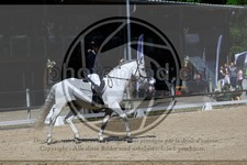 ref. photo 3597027