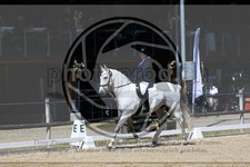 ref. photo 3597028