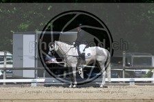ref. photo 3597334