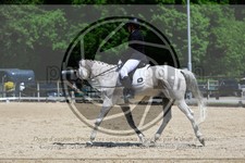 ref. photo 3597339