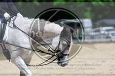 ref. photo 3597352