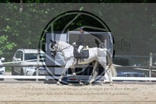 ref. photo 3597585