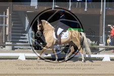 ref. photo 3597653