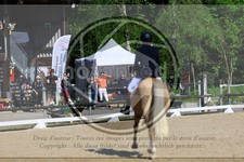 ref. photo 3597654