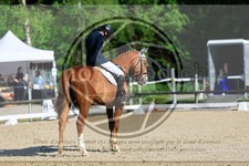 ref. photo 3597760