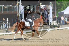 ref. photo 3597813