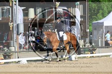 ref. photo 3597851