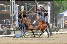 ref. photo 3597888