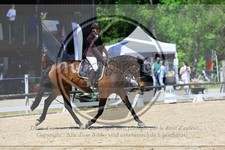 ref. photo 3597920